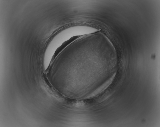 X0000116590600200912312037