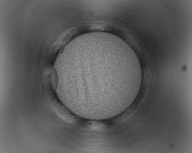 X0000116590601200912312037