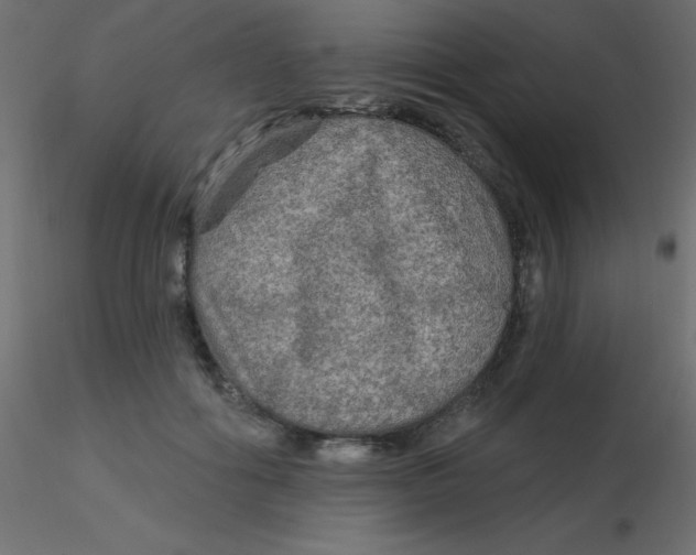 X0000116590602200912312037