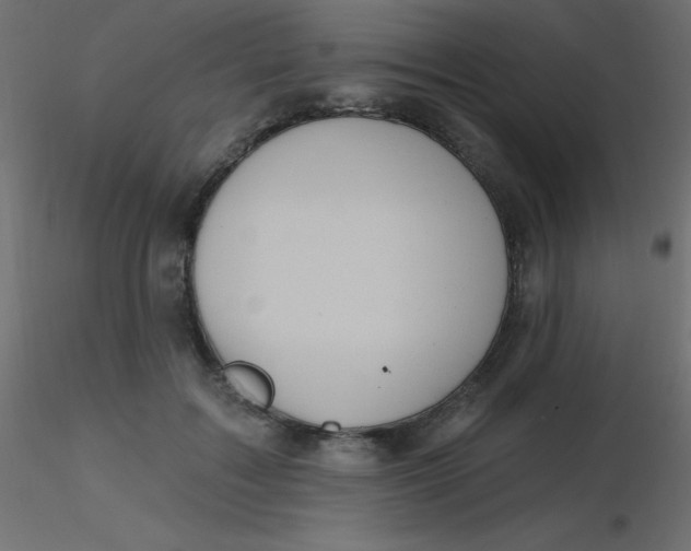 X0000116590603200912312037