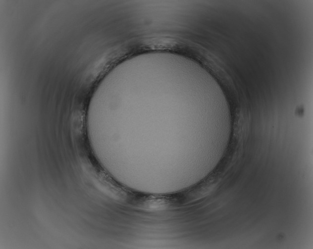 X0000116590604200912312037