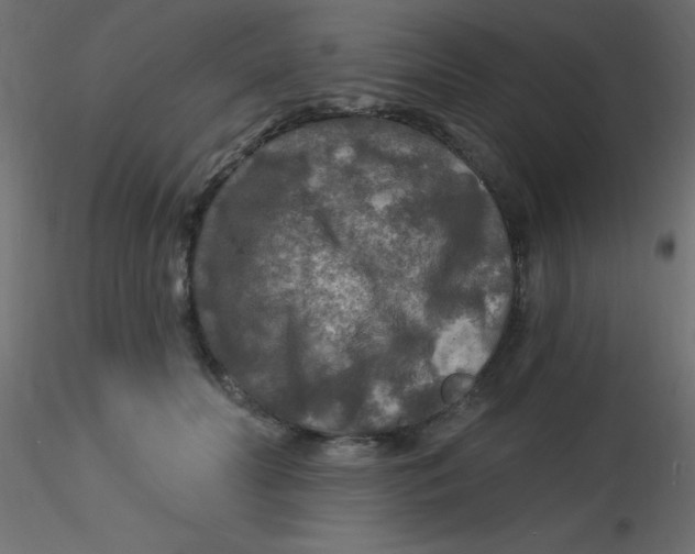 X0000116590606200912312037