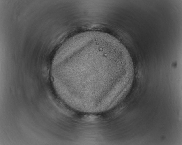 X0000116590607200912312037