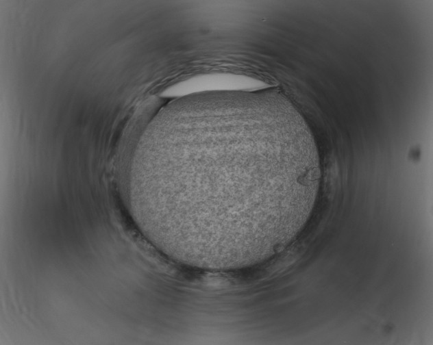 X0000116590608200912312037