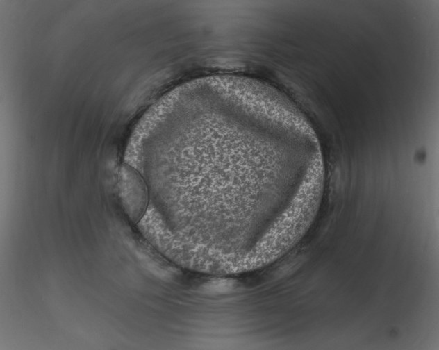 X0000116590609200912312037