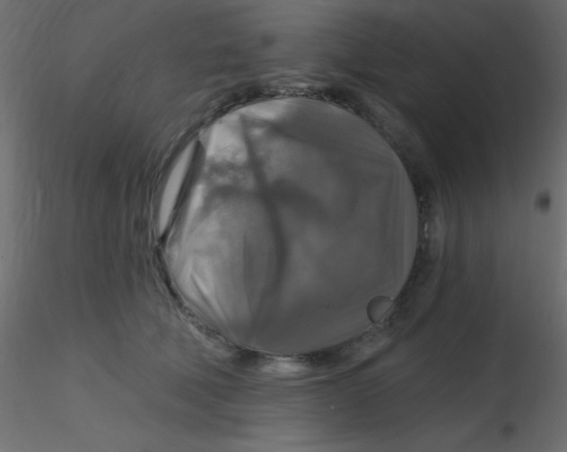 X0000116590610200912312037