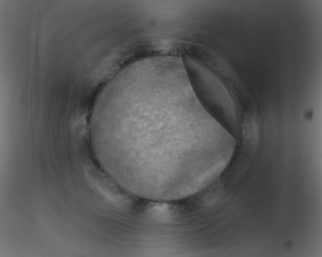 X0000116590611200912312037