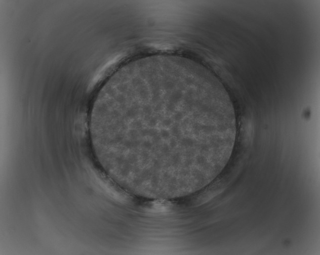 X0000116590612200912312037