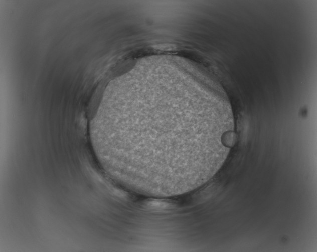 X0000116590614200912312037