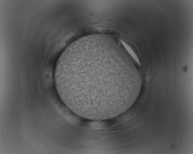 X0000116590615200912312037