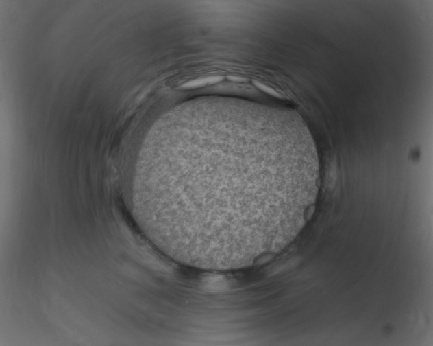 X0000116590616200912312037