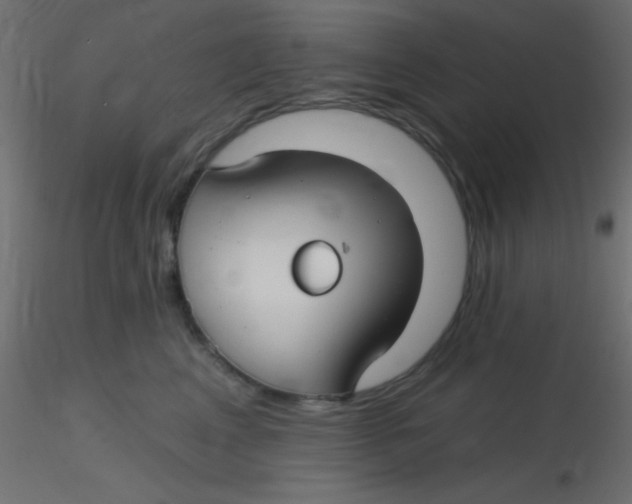 X0000116590617200912312037