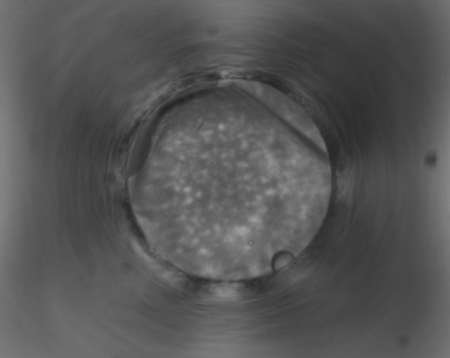 X0000116590618200912312037