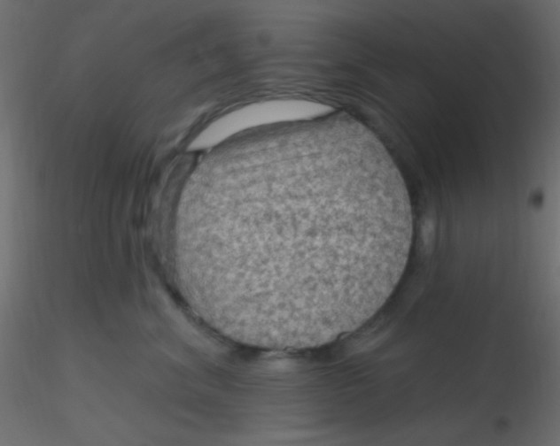 X0000116590620200912312037