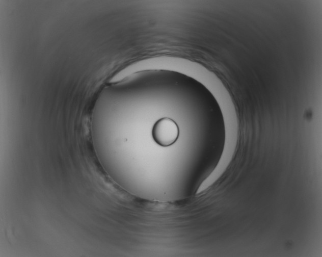 X0000116590621200912312037