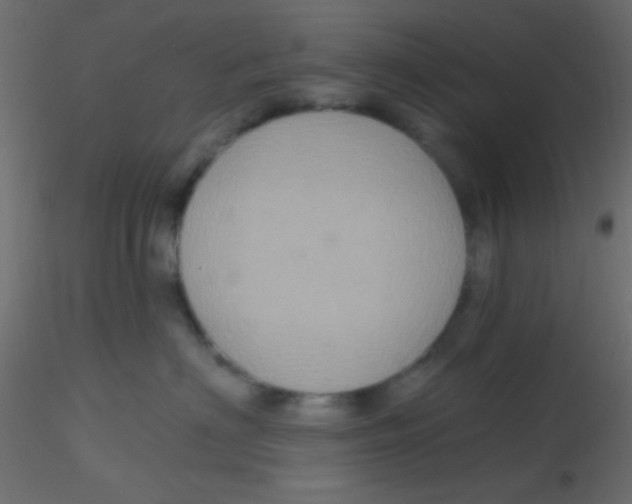 X0000116590622200912312037