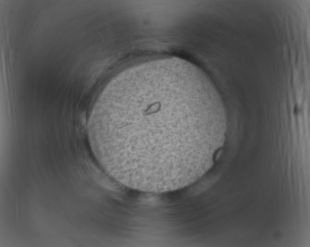 X0000116590624200912312037