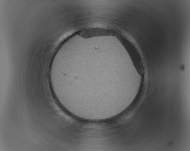 X0000116590625200912312037