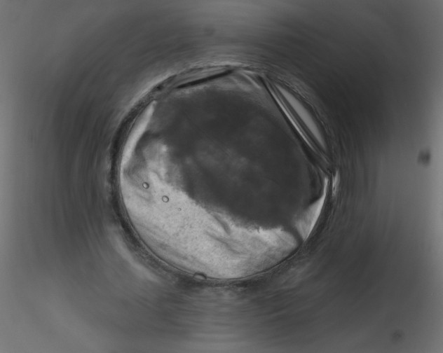 X0000116590627200912312037