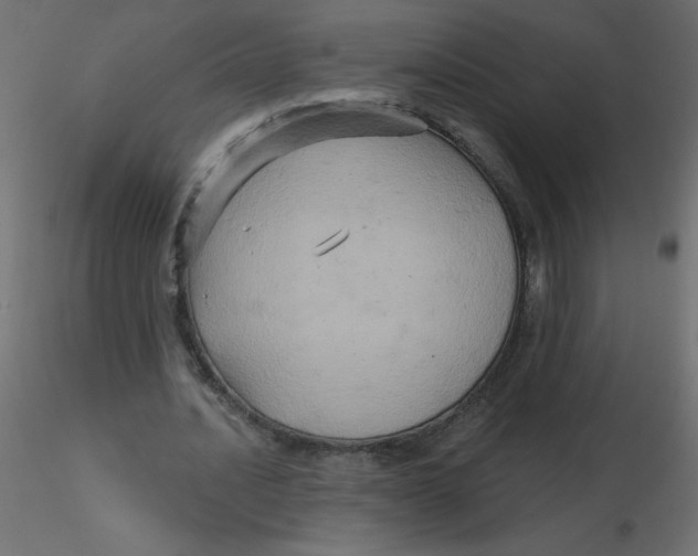 X0000116590628200912312037