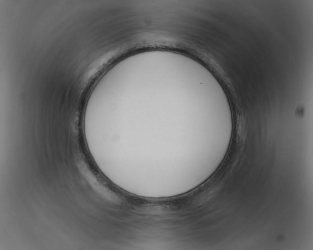 X0000116590629200912312037