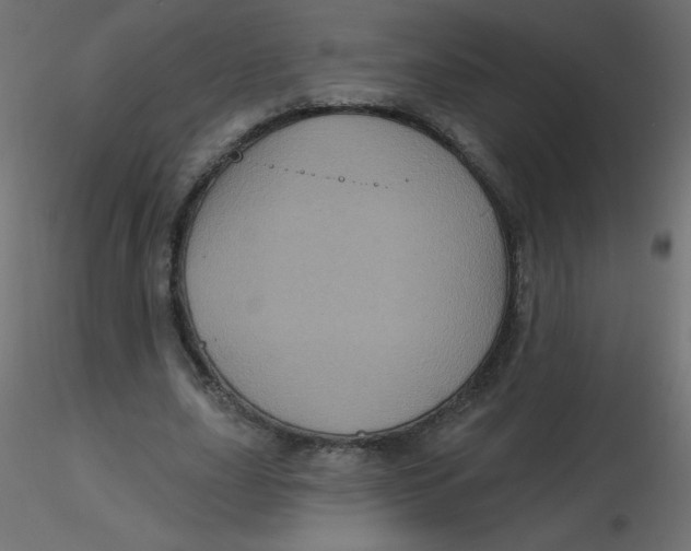 X0000116590631200912312037