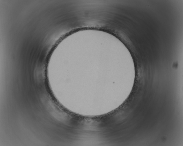 X0000116590632200912312037