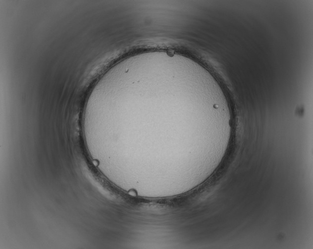 X0000116590633200912312037