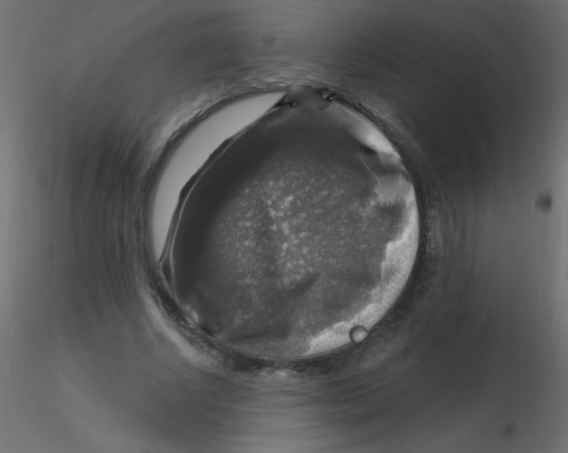 X0000116590634200912312037