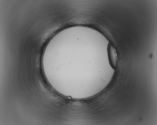 X0000116590635200912312037