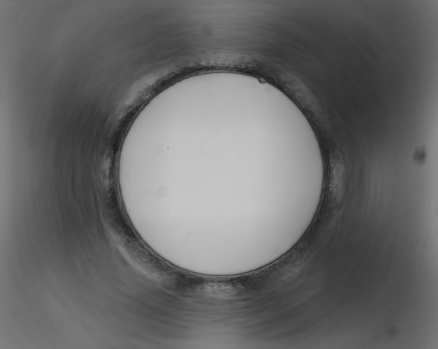 X0000116590636200912312037