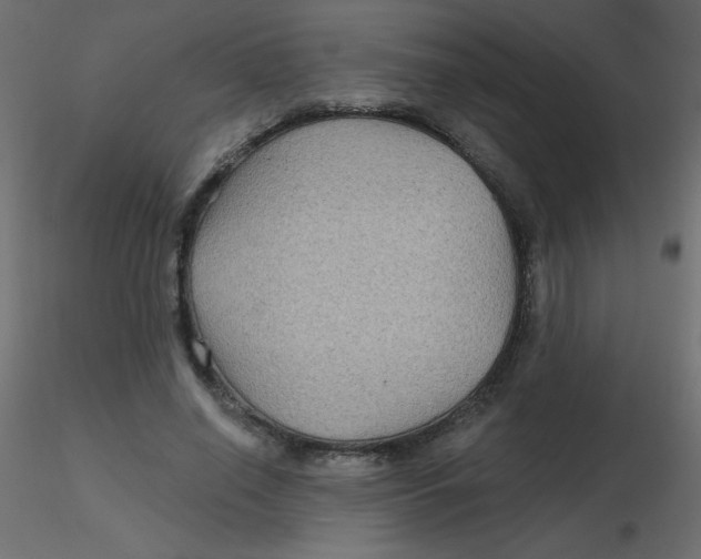 X0000116590638200912312037