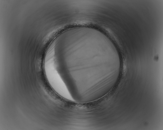 X0000116590640200912312037