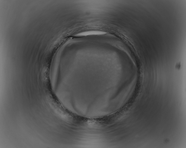 X0000116590641200912312037