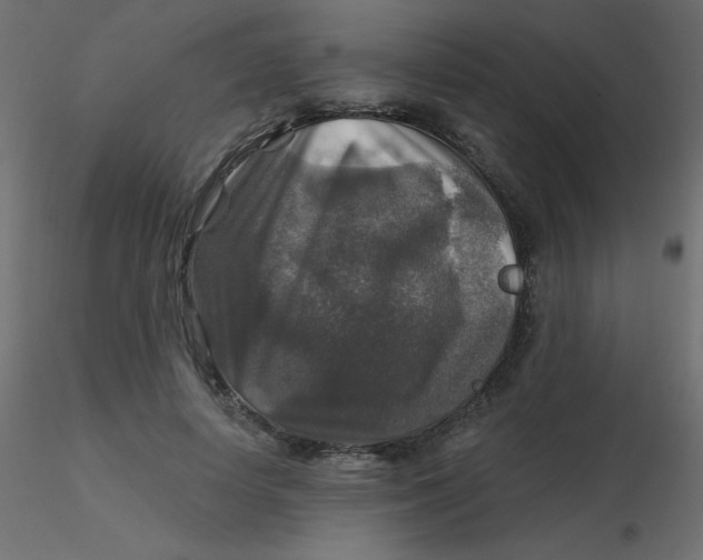 X0000116590642200912312037