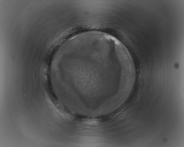 X0000116590643200912312037