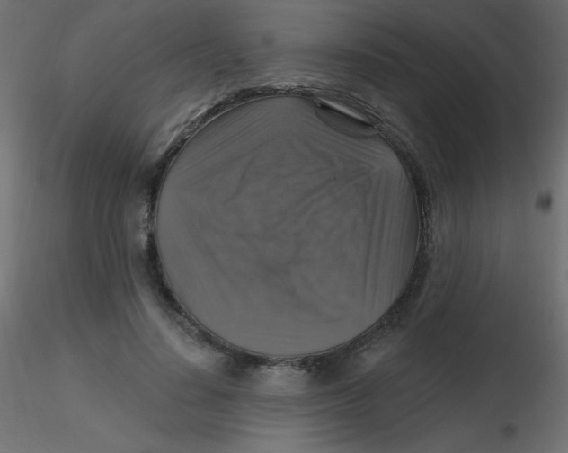 X0000116590644200912312037