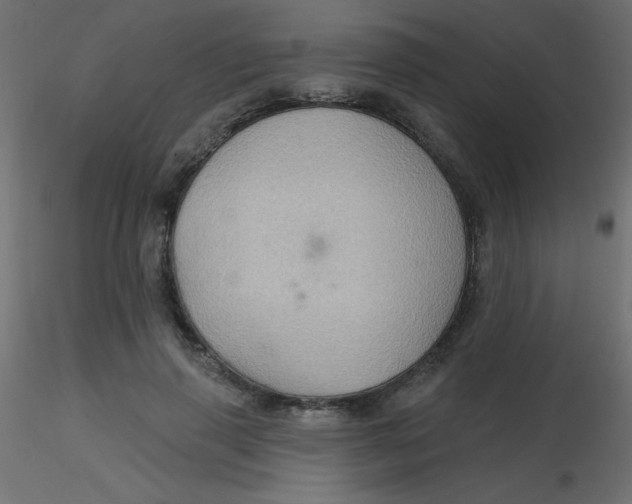 X0000116590645200912312037