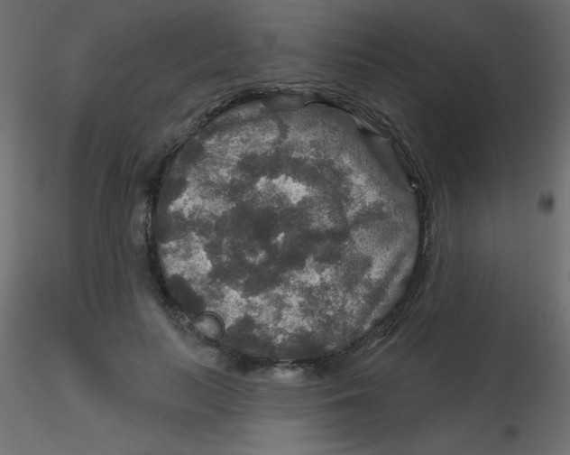 X0000116590647200912312037