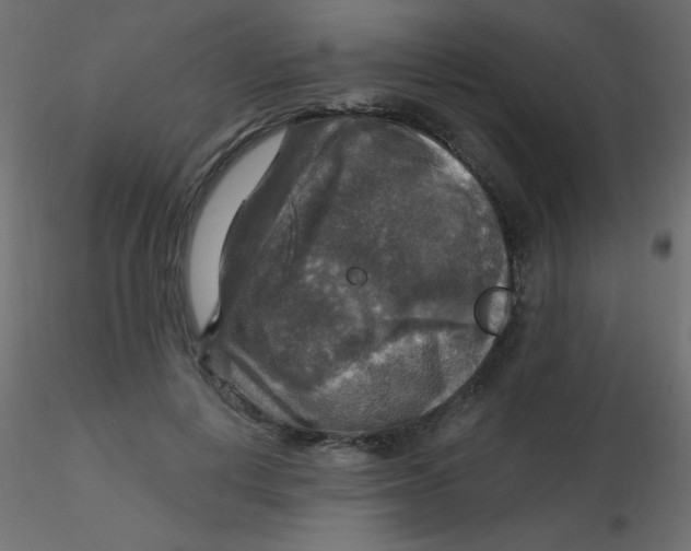 X0000116590648200912312037