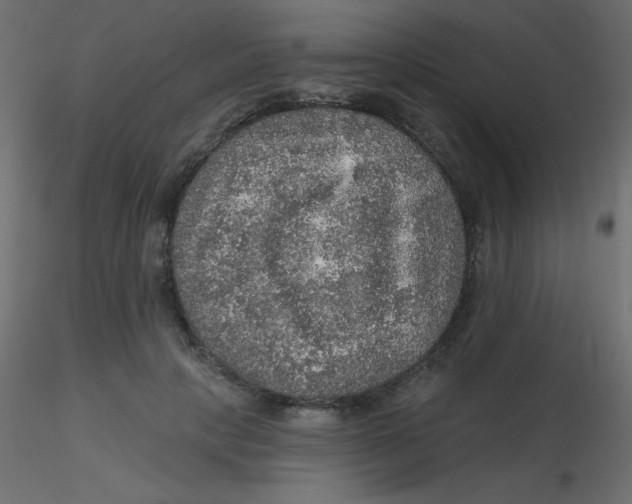 X0000116590649200912312037