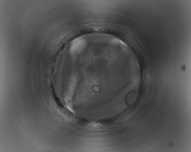 X0000116590650200912312037