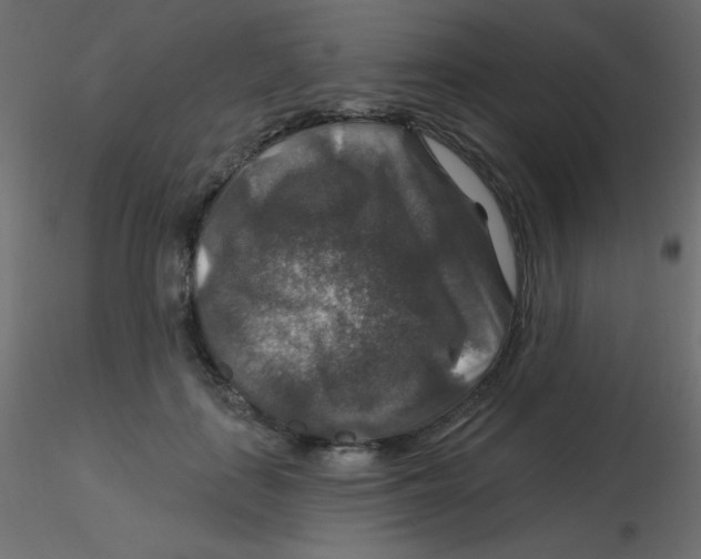 X0000116590651200912312037