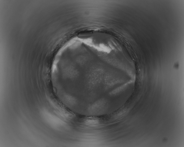 X0000116590653200912312037