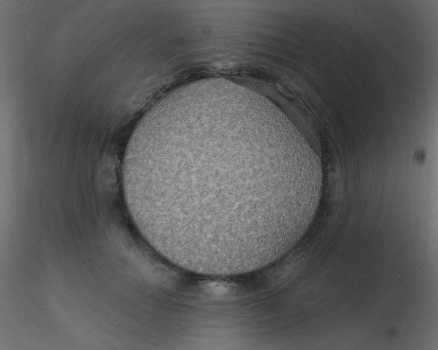 X0000116590654200912312037