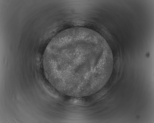 X0000116590655200912312037