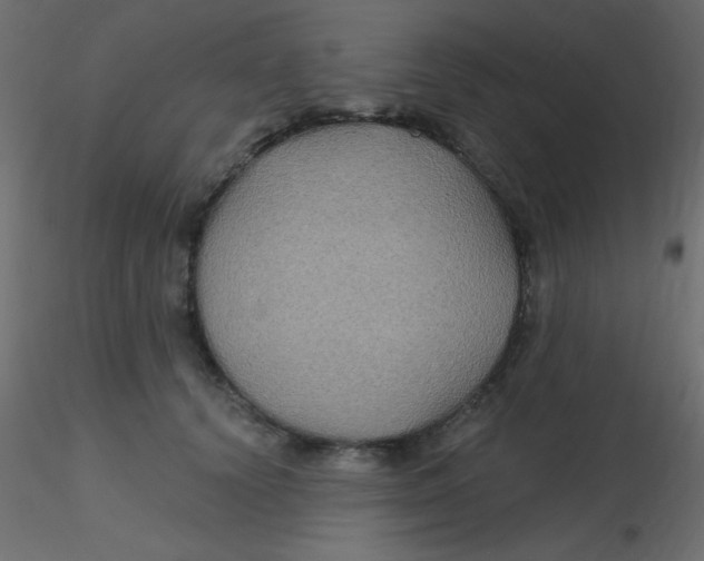 X0000116590656200912312037