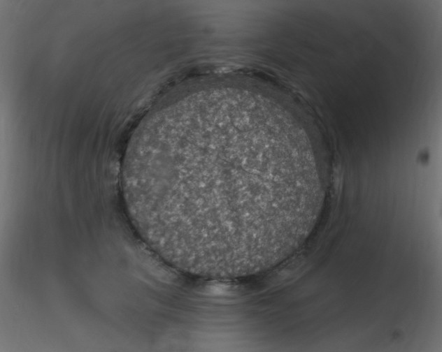 X0000116590657200912312037