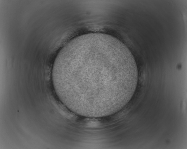 X0000116590658200912312037