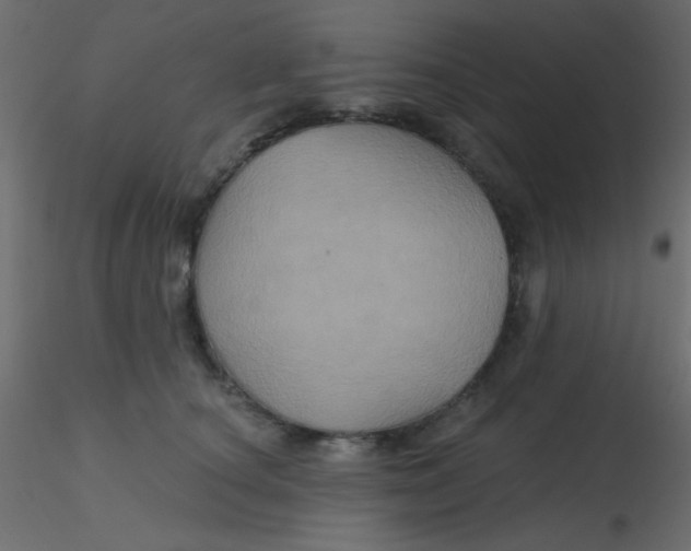 X0000116590660200912312037